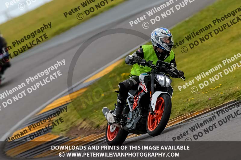 PJ Motorsport 2019;anglesey no limits trackday;anglesey photographs;anglesey trackday photographs;enduro digital images;event digital images;eventdigitalimages;no limits trackdays;peter wileman photography;racing digital images;trac mon;trackday digital images;trackday photos;ty croes